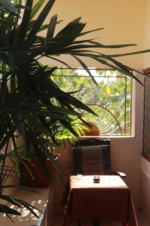 Busy Bee Apartments Kololi Extérieur photo
